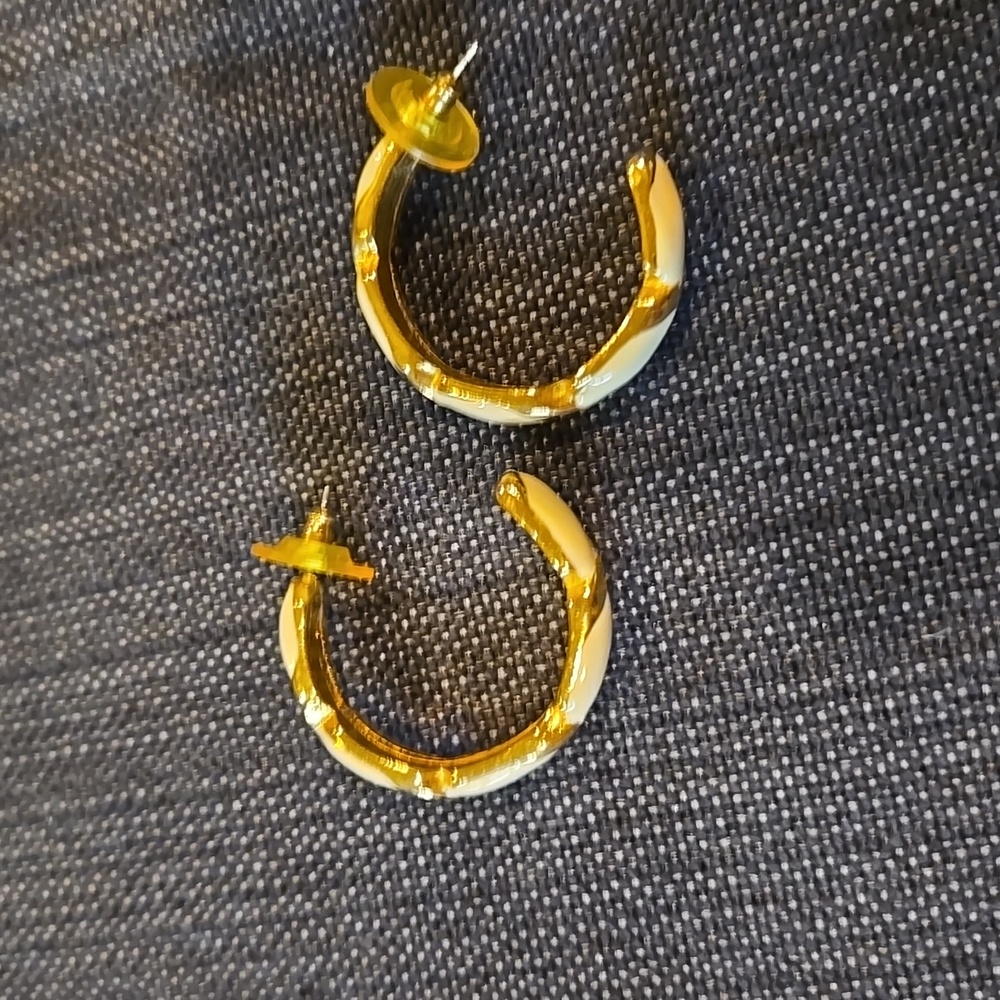Fashion hoop earrings
